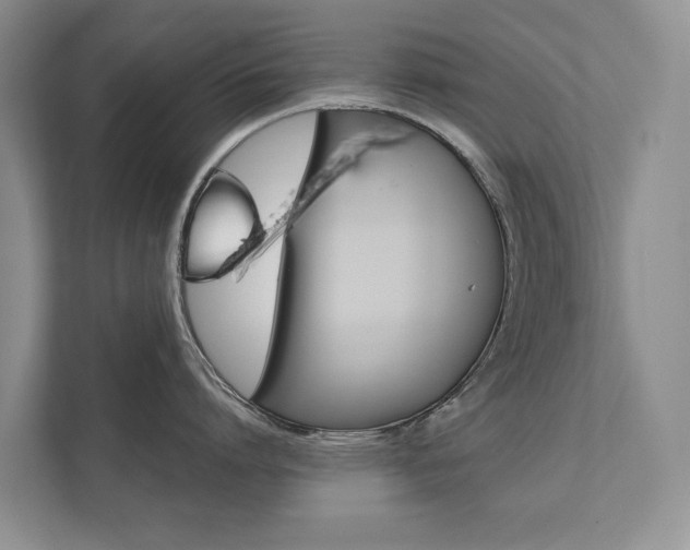 X0000111880864200907231425