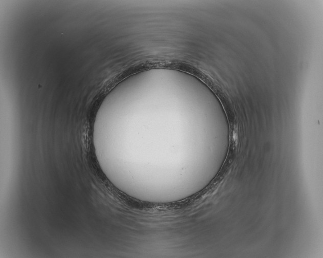 X0000111880867200907231425