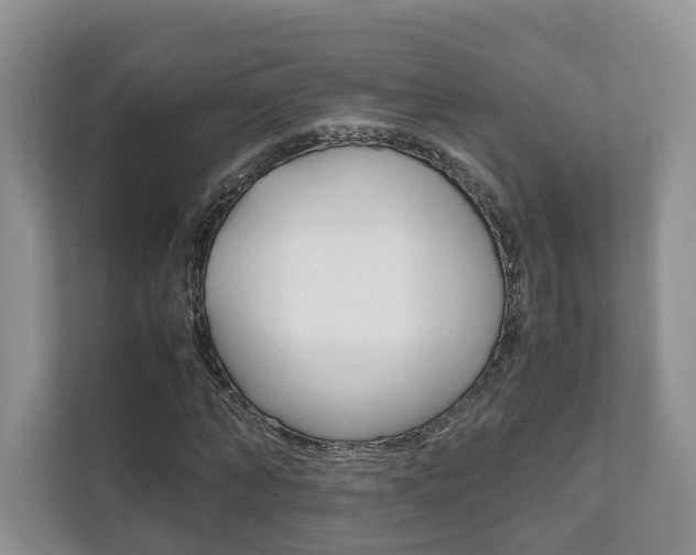 X0000111880870200907231425