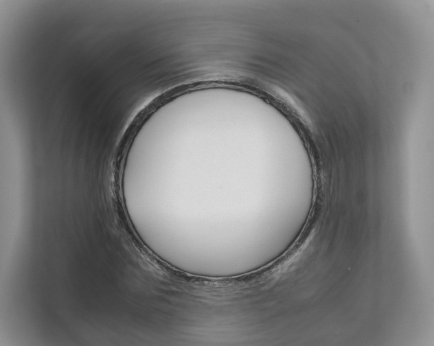 X0000111880875200907231425