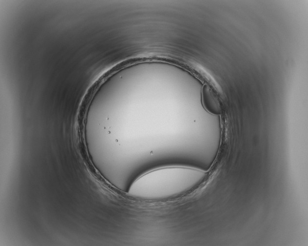 X0000111880876200907231425