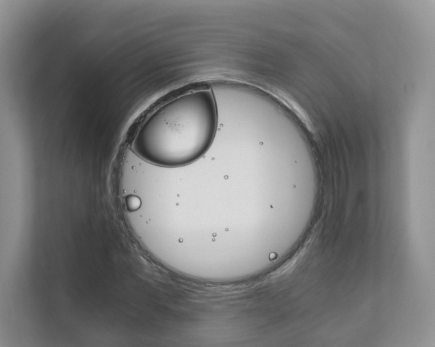 X0000111880877200907231425
