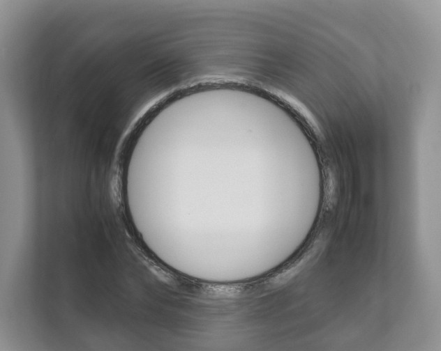 X0000111880878200907231425