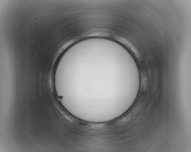 X0000111880882200907231425