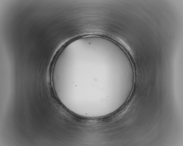X0000111880883200907231425