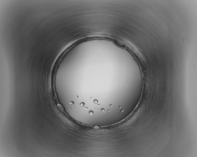 X0000111880884200907231425