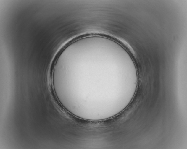 X0000111880887200907231425