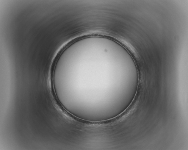 X0000111880888200907231425