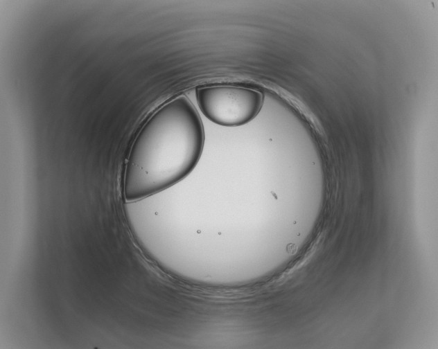 X0000111880889200907231425