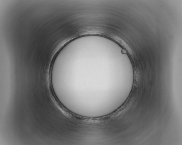 X0000111880890200907231424