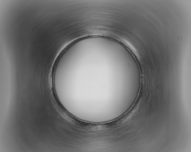 X0000111880891200907231424