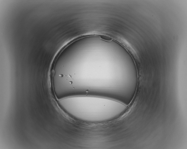 X0000111880892200907231424