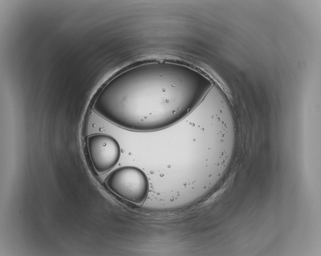 X0000111880893200907231424