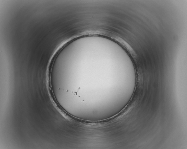X0000111880894200907231424