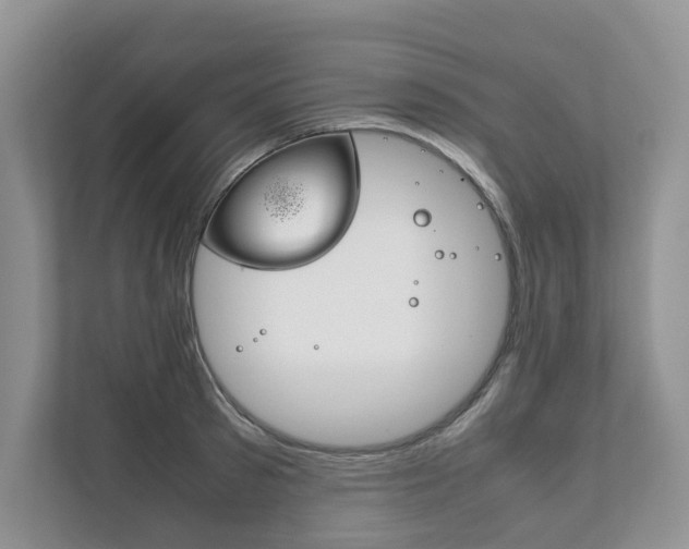 X0000111880897200907231424