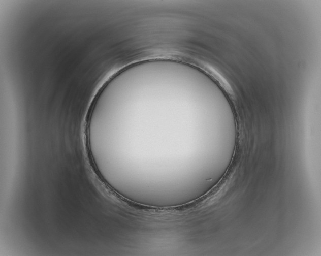 X0000111880899200907231424