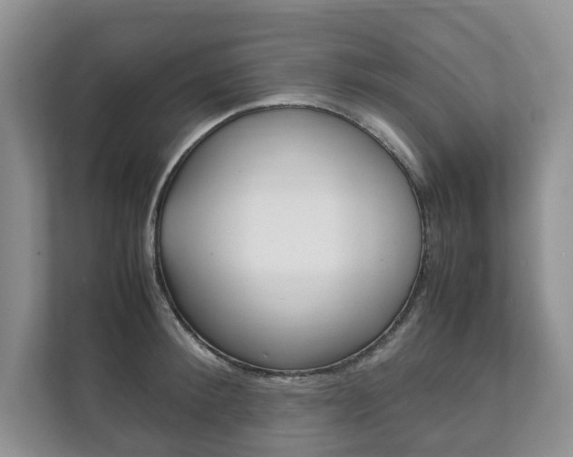 X0000111880900200907231424