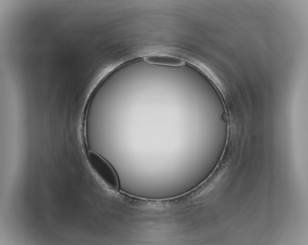 X0000111880901200907231424