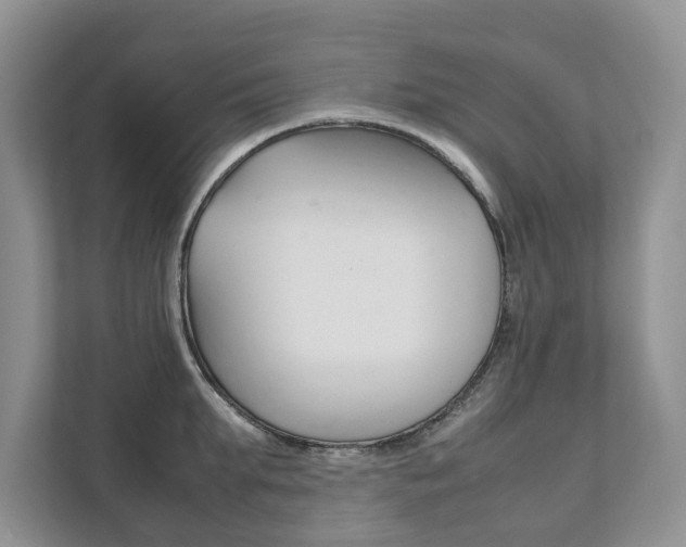 X0000111880903200907231424