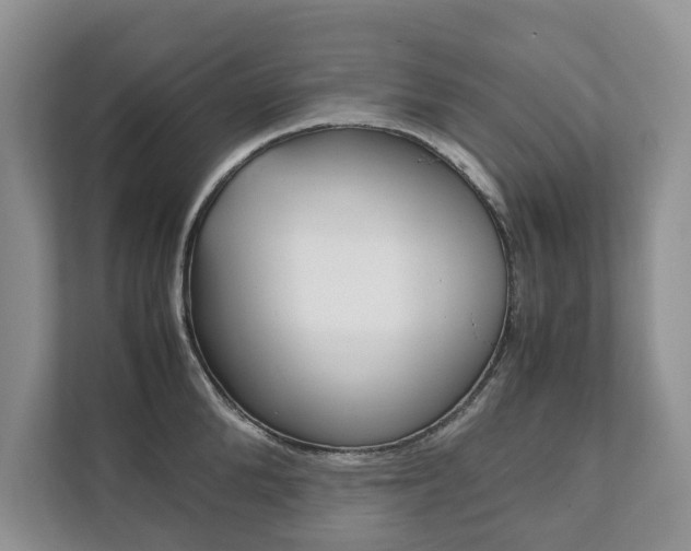 X0000111880904200907231424