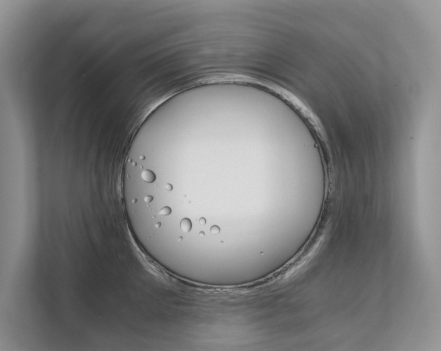 X0000111880905200907231424