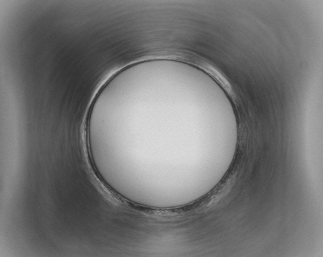 X0000111880907200907231424
