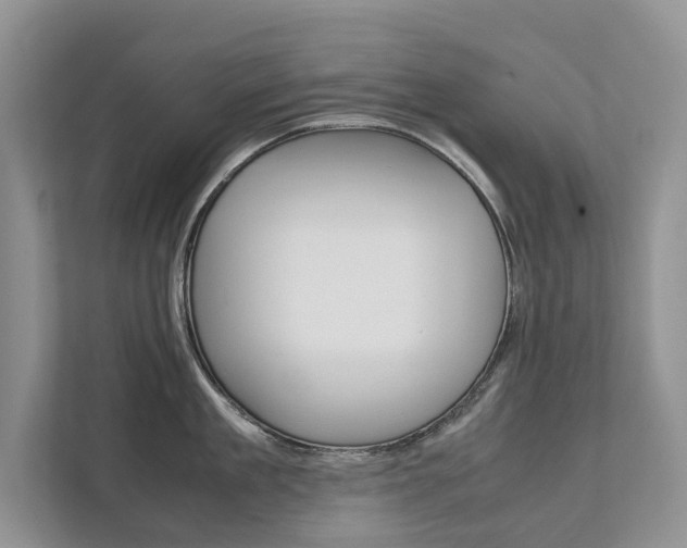X0000111880909200907231424