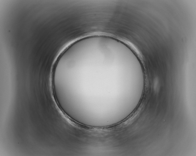 X0000111880910200907231424