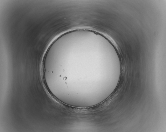 X0000111880911200907231424