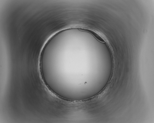 X0000111880912200907231424