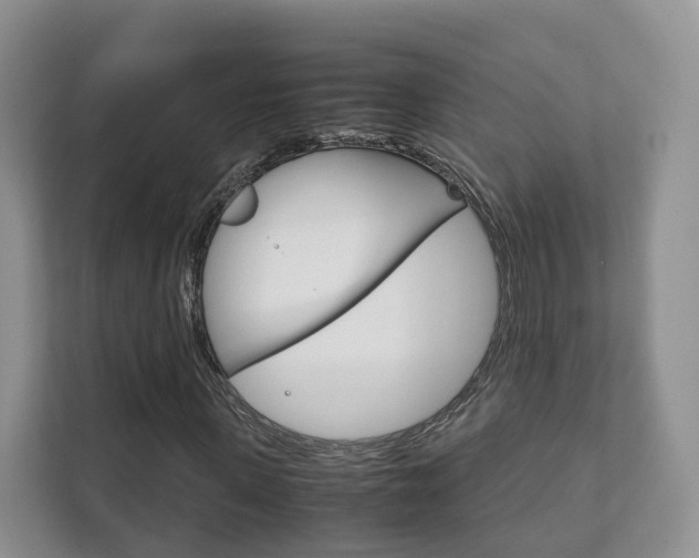 X0000111880915200907231424