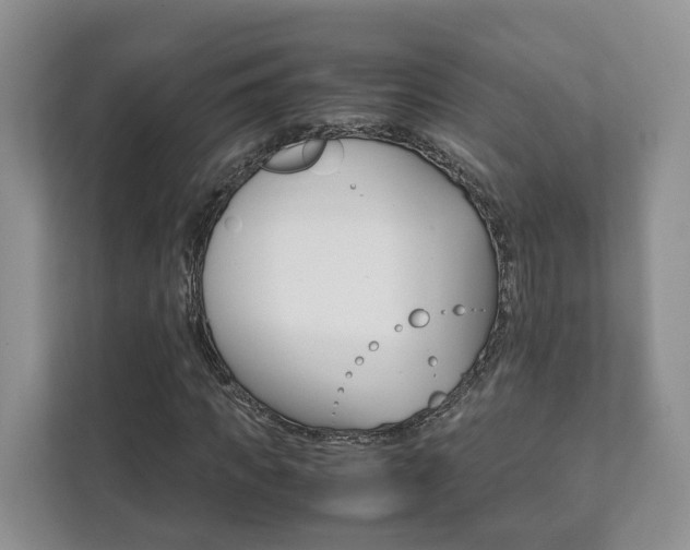 X0000111880917200907231424