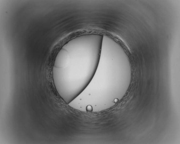 X0000111880919200907231424