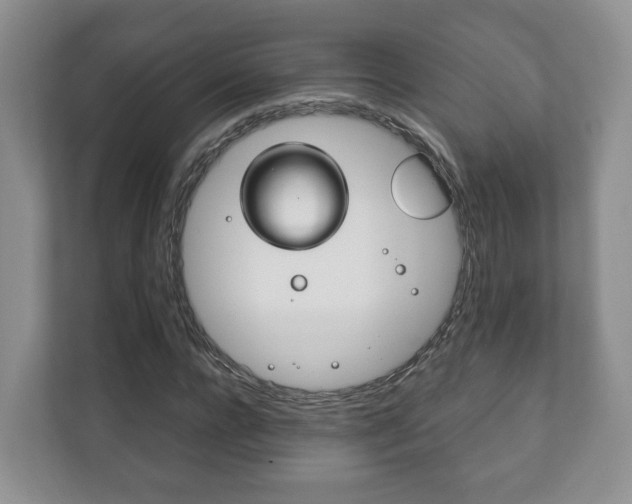 X0000111880920200907231424