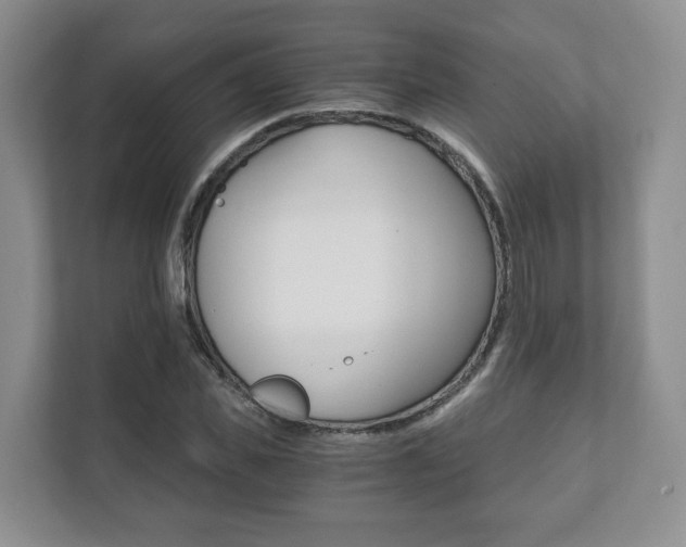 X0000111880925200907231424