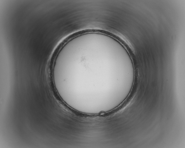 X0000111880926200907231424