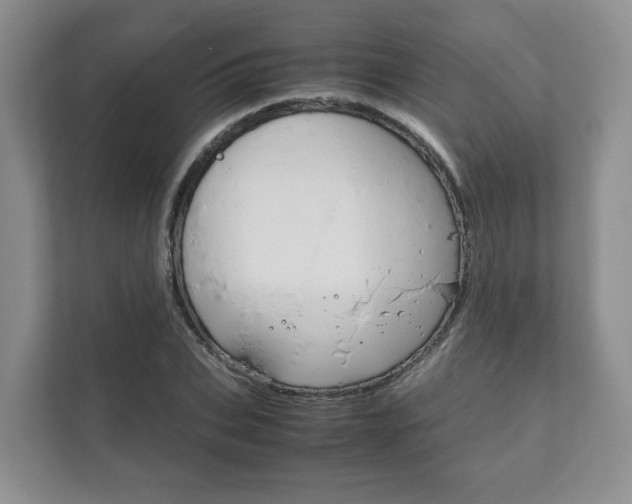 X0000111880927200907231424