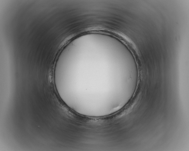 X0000111880929200907231424