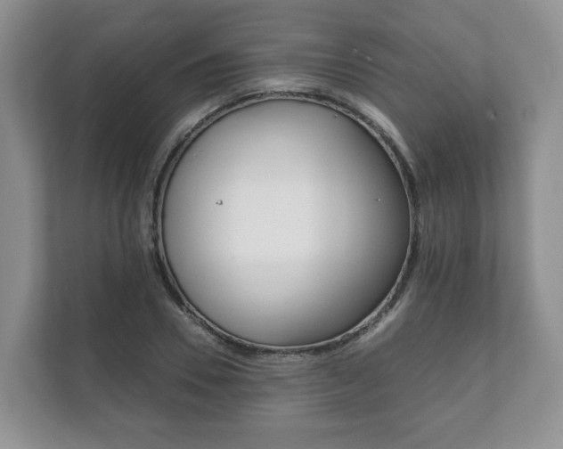X0000111880930200907231424