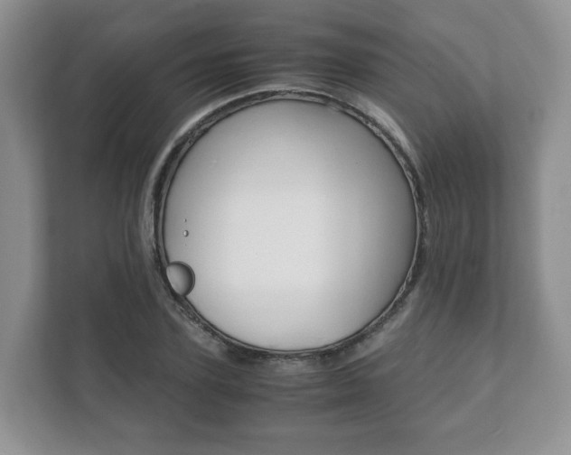 X0000111880931200907231424