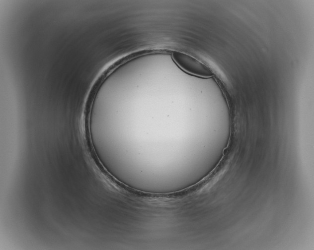 X0000111880932200907231424