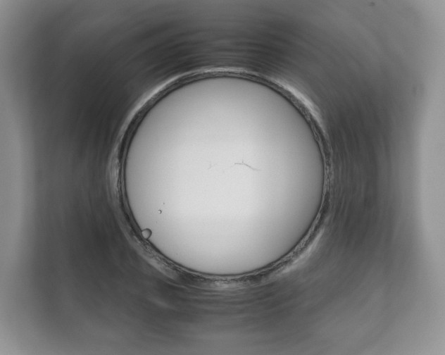 X0000111880933200907231424