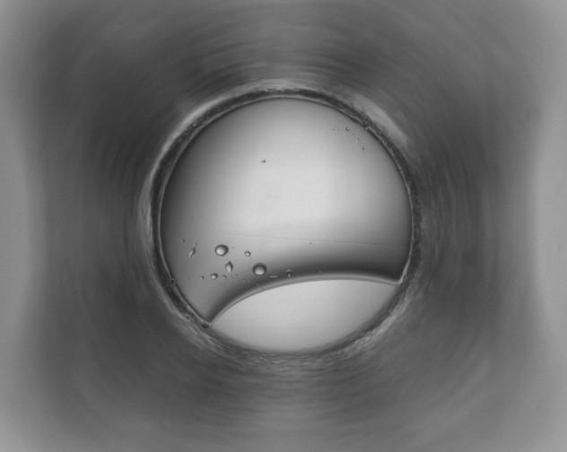 X0000111880934200907231424