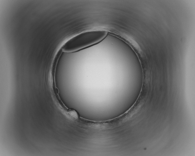 X0000111880936200907231424