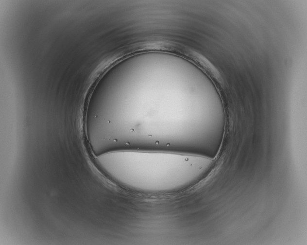 X0000111880938200907231424