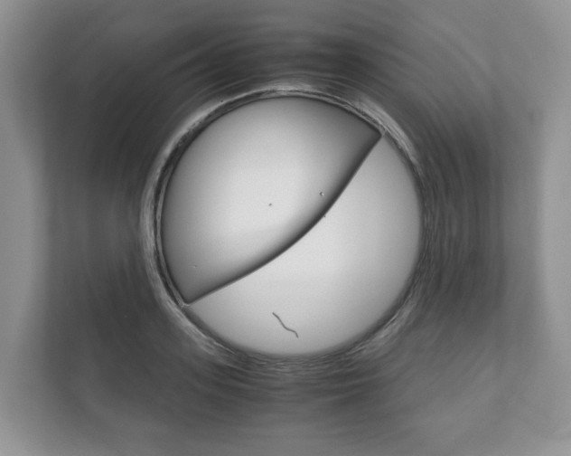 X0000111880939200907231424