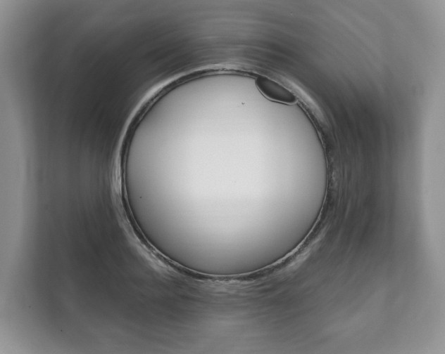 X0000111880940200907231424