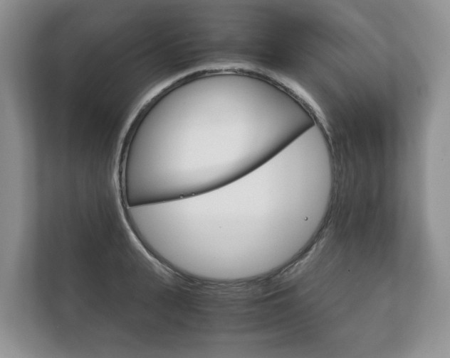 X0000111880943200907231424