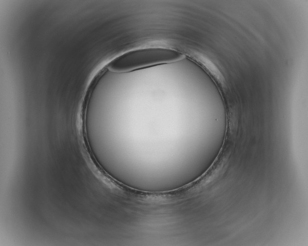 X0000111880944200907231424