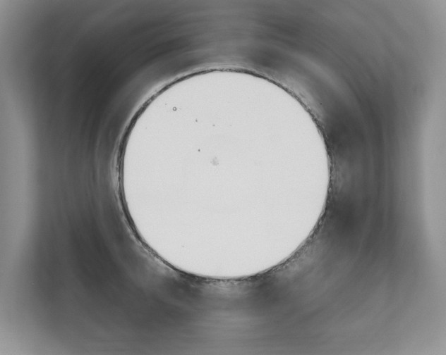 X0000111880950200907231424